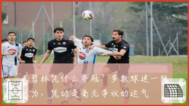 王哲林凭什么夺冠？多数球迷一致认为，凭的是毫无争议的运气