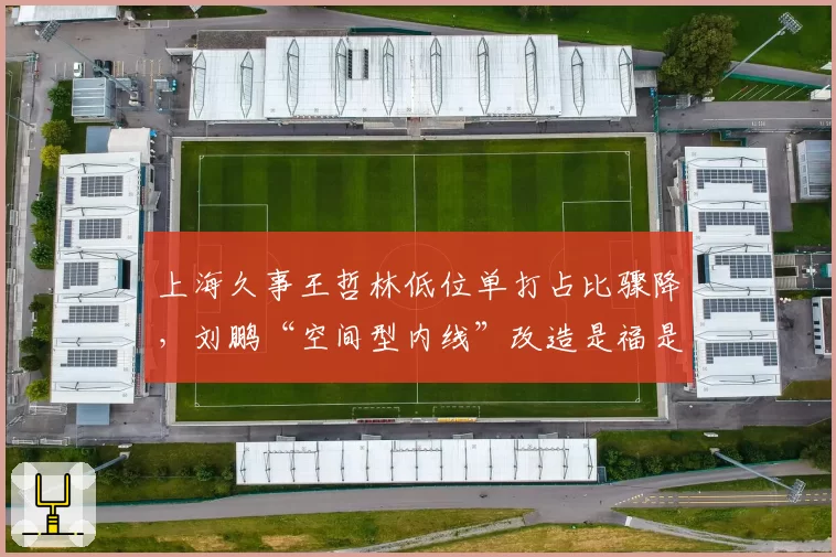 上海久事王哲林低位单打占比骤降，刘鹏“空间型内线”改造是福是祸？