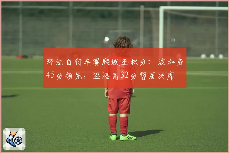 环法自行车赛爬坡王积分：波加查45分领先，温格高32分暂居次席