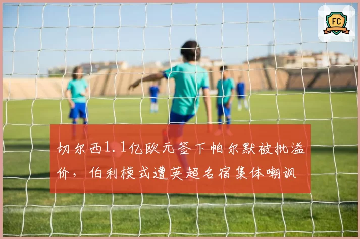 切尔西1.1亿欧元签下帕尔默被批溢价，伯利模式遭英超名宿集体嘲讽